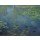 Claude Monet, Seerosenteich