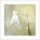 Clotilde ANCARANI, Discussion