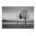 Christian Coigny, Lutry, Lac Lemon