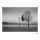 Christian Coigny, Lutry, Lac Lemon