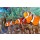 crisod, Clownfish
