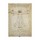 Leonardo da Vinci, Schema Delle Proporzioni