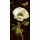 Danhui Nai, Jardin Paris Florals I