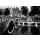 Dave Butcher, Amsterdam Keizersgracht