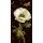 Danhui Nai, Jardin Paris Florals I