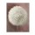 Elisabeth Verdonck, Dandelion Clock I