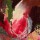 Emmanuelle Mertian de Muller, Navet rose II
