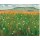 Ferdinand Hodler, Wiesenstck, 1900/1902