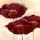 Elena Filatov, Mohn in Milch II