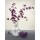 Franz Heigl, Royal Blossom Ii