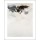 Gabriel BELGEONNE, Mystre ineffable, 2008