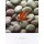 Glen & Gale Wans, Leaf on Stone