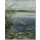 Gosse Koopmans, Water Lilies Earnewâld II
