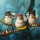 Lucia Heffernan, Birdz in da Hood No.2