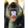 Hady Khandani, MANDRILL