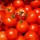 Hady Khandani, TOMATOES SQUARE