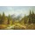 Helmut Glassl, BROOK IN THE MOUNTAINS