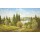 Helmut Glassl, LAKE NEAR CERNIVCI