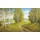 Helmut Glassl, ROMANTIC PATHWAY