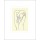 Henri Matisse, Hommage - quelle soie aux ..., 1932 (Büttenpapier)