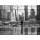 Henri Silberman, Looking at Ground Zero