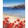 Hilary Mayes, Poppies by the Sea