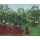 Henri Rousseau, Tropenwald mit Affen