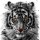 Patrice Murciano, White Tiger