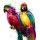 Patrice Murciano, Tropical Colors I