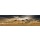 Peter Hillert, Namib Sandsea II
