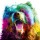 Patrice Murciano, Bear Pop