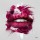Sylvain Binet, Bouche rose
