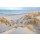 Georges-Félix Cohen, Les dunes - pastel