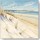Caroline Atkinson, Shoreline Stroll