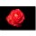 Volker Brosius, Rose rot