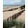 Gill Copeland, Drifting Sands