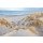 Georges-Félix Cohen, Les dunes - pastel