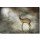 Michiel Visser, Young Deer