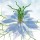 Ingrid Ulmer, Seiltnzer blau