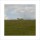 Jacky LECOUTURIER, Prairie, 2007