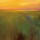 Jan Groenhart, Golden Glow