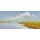 Jan Groenhart, A clear Day in the Field