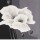 Jettie Roseboom, Decora I