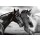 Jorge Llovet, Horse Portrait
