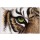 Jutta Plath, Tiger Augenblick