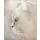 Jutta Plath, White Tiger
