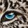 Jutta Plath, Leopardenauge