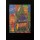 Friedensreich Hundertwasser, Bild mit Rahmen, KATHEDRALE I, Holz silber, 34 mm, schwarz gebürstet, Plexiglas