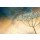 Kirsten Riedt, Summer Dreams I
