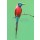 Kletr, The Northern Carmine Bee-Eater (Merops nubicus).